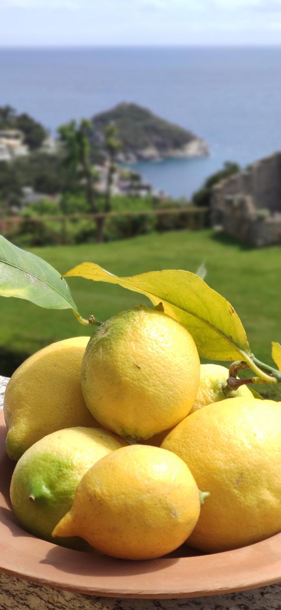 Il Giardino Sull'Isola - Appartamento - ベルジェッジ エクステリア 写真
