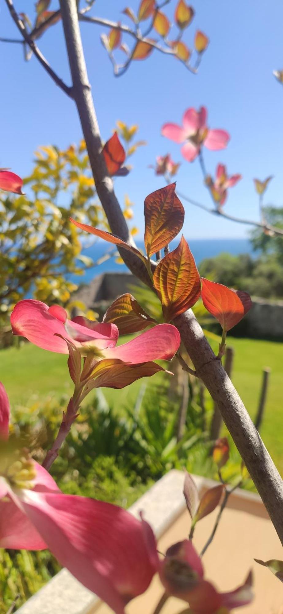 Il Giardino Sull'Isola - Appartamento - ベルジェッジ エクステリア 写真