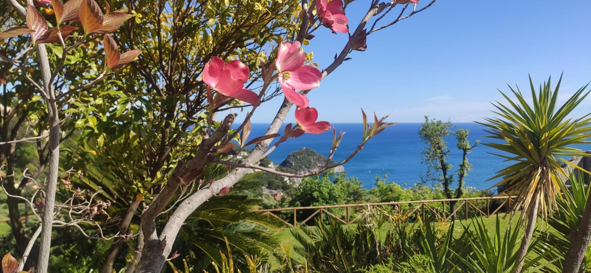 Il Giardino Sull'Isola - Appartamento - ベルジェッジ エクステリア 写真