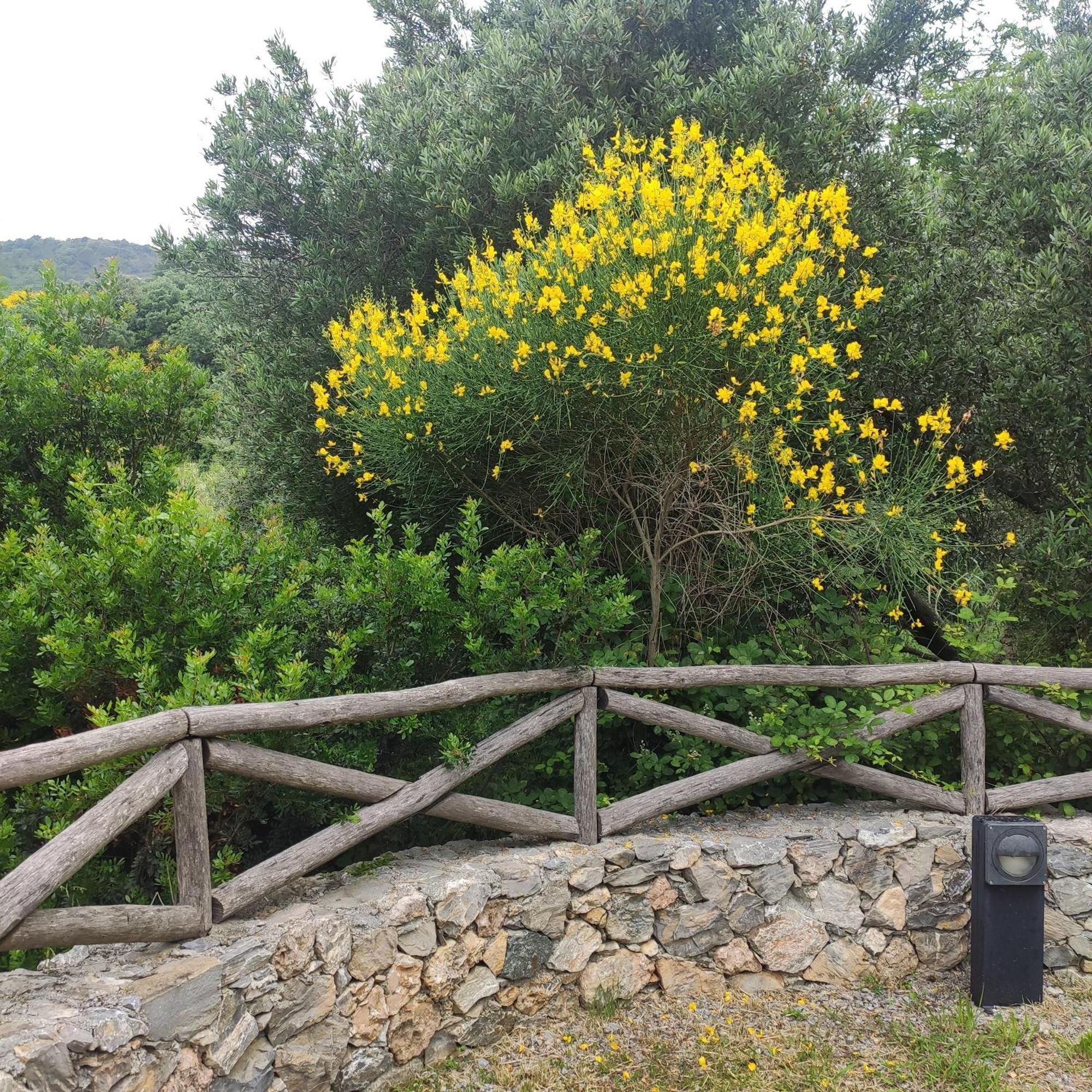 Il Giardino Sull'Isola - Appartamento - ベルジェッジ エクステリア 写真